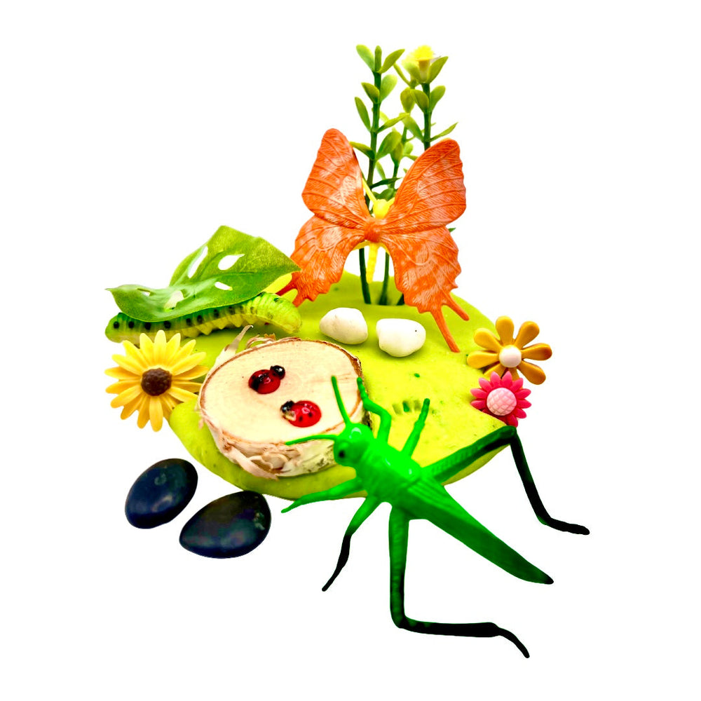 Butterfly & Bug Playdough Sensory Kit: Educational Insect-Themed Play Kit (ONLINE ORDER ONLY)