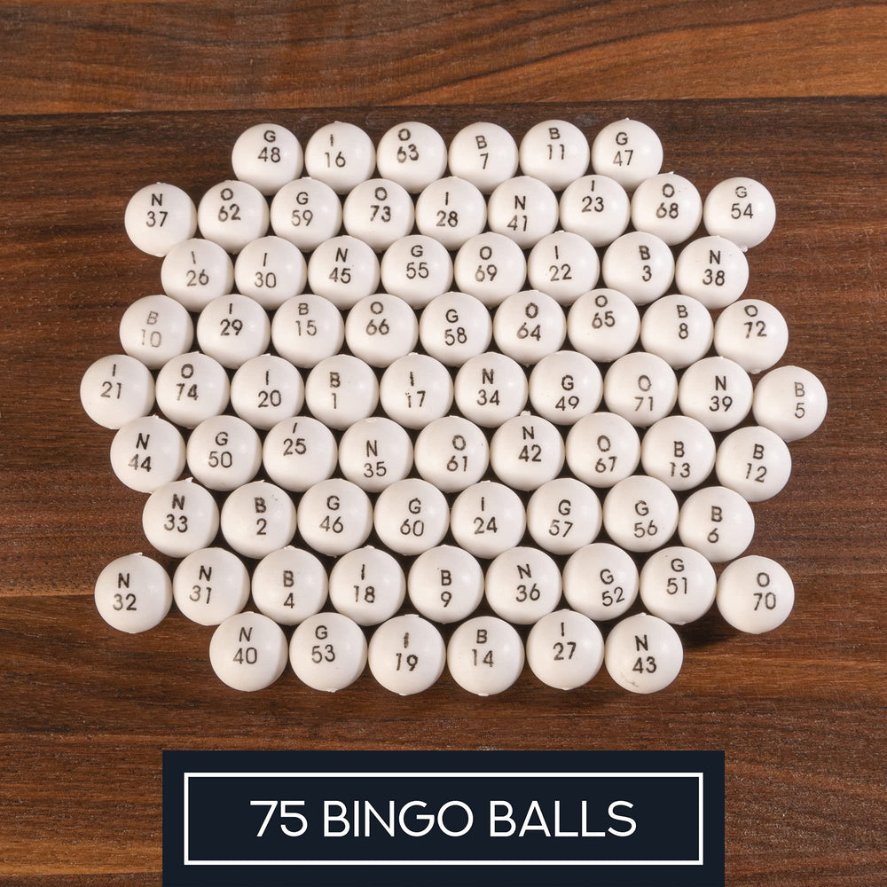 Shutter Bingo Game (ONLINE ORDER ONLY)