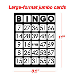 EZ Readers Low Vision Bingo Cards (ONLINE ORDER ONLY)