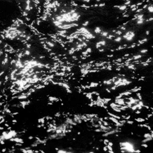 AIA: Dream Loss [Vinyl]