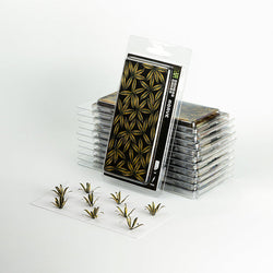Gamers Grass Laser Plants: Agave (ONLINE ORDER ONLY)