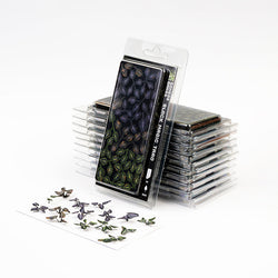 Gamers Grass Laser Plants: Black Magic Taro (ONLINE ORDER ONLY)