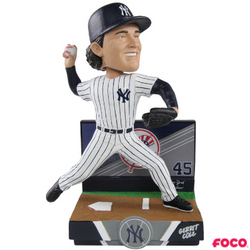 Highlight Series Bobbleheads (ONLINE ORDER ONLY)