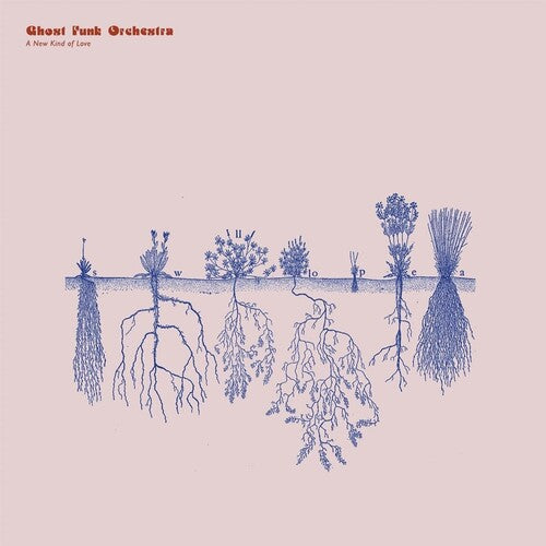 A New Kind Of Love (Transparent Clear Red Vinyl, Indie Exclusive) [Vinyl] (ONLINE ORDER ONLY)