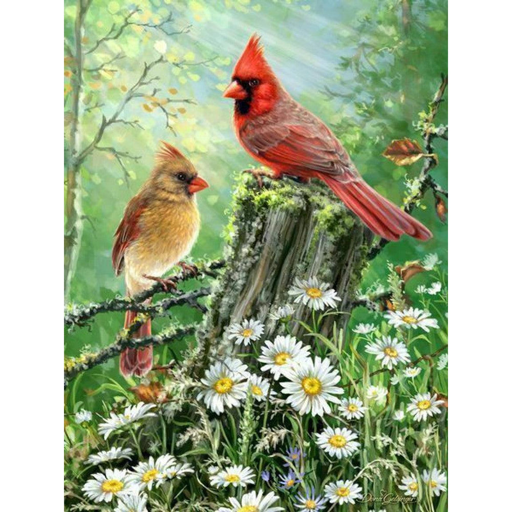 Golden Light 500 Piece Jigsaw Puzzle Springbok (ONLINE ORDER ONLY)