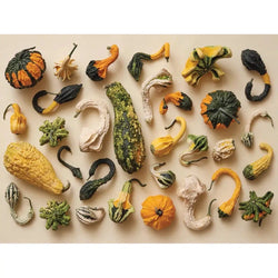 Gourd Collection 1000 Piece Jigsaw Puzzle NYPC (ONLINE ORDER ONLY)