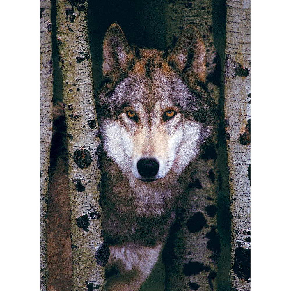 Gray Wolf 1000 Piece Jigsaw Puzzle Eurographics (ONLINE ORDER ONLY)