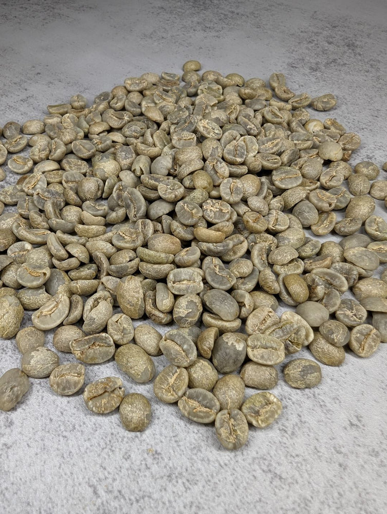 HOUSE BLEND: GUATEMALA/BRAZIL (ONLINE ORDER ONLY)