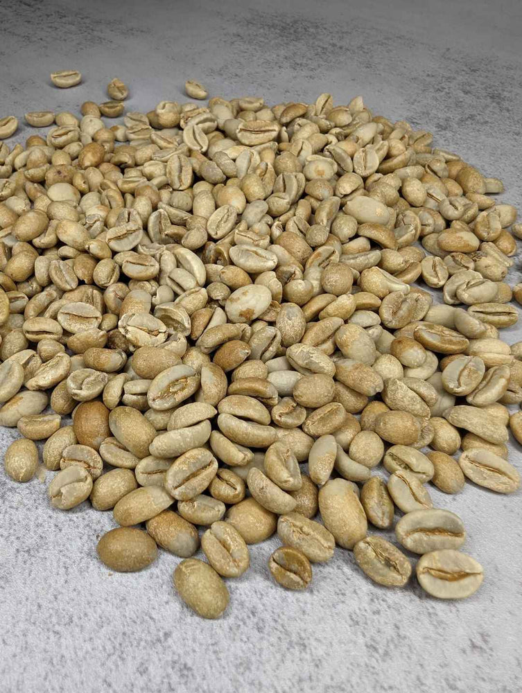 SINGLE ORIGIN: ETHIOPIA