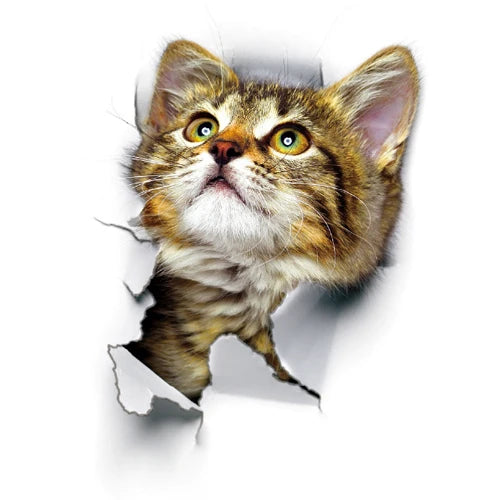 3D Cat Wall Sticker Vinyl Decal Home Decor Art Poster (ONLINE ORDER ONLY)
