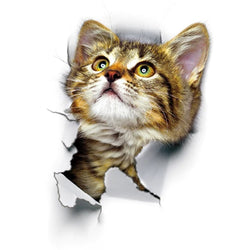 3D Cat Wall Sticker Vinyl Decal Home Decor Art Poster (ONLINE ORDER ONLY)