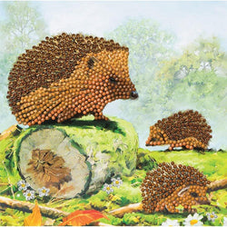 Happy Hedgehogs Crystal Art Card Kit Craft Buddy (ONLINE ORDER ONLY)