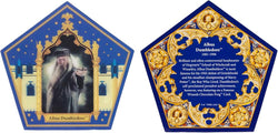 Harry Potter Chocolate Frog Sticky Notepad (ONLINE ORDER ONLY)
