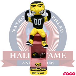 Iowa Hawkeyes Herky the Hawk Pink Locker Bobblehead (ONLINE ORDER ONLY)