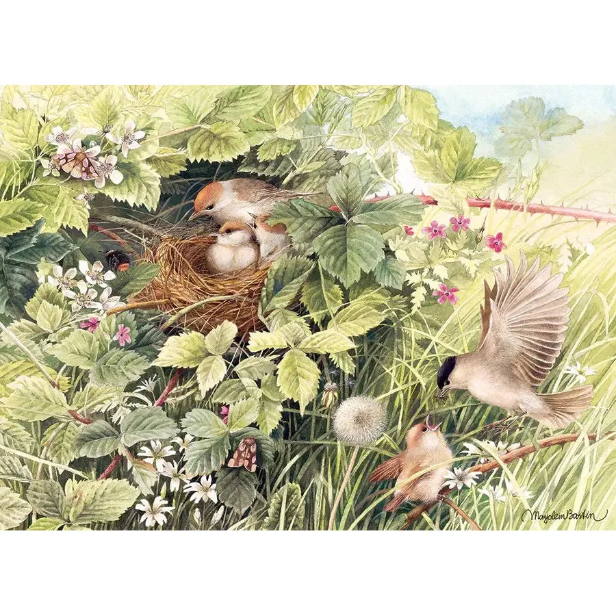 Hidden Nest 1000 Piece Jigsaw Puzzle Cobble Hill (ONLINE ORDER ONLY)
