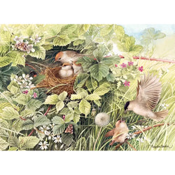 Hidden Nest 1000 Piece Jigsaw Puzzle Cobble Hill (ONLINE ORDER ONLY)