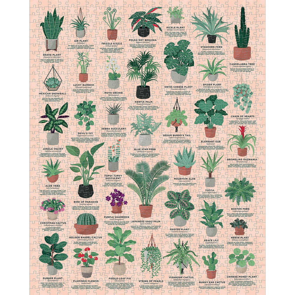 House Plants 1000 Piece Jigsaw Puzzle Ridley (ONLINE ORDER ONLY)