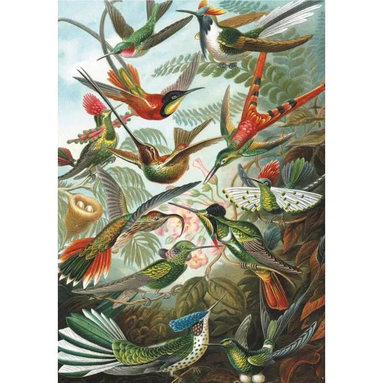 Hummingbirds 1000 Piece Jigsaw Puzzle Piatnik (ONLINE ORDER ONLY)