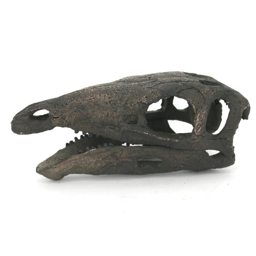 Replica Stegosaurus Mini Dinosaur Skull Fossil (ONLINE ORDER ONLY)