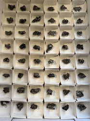 Campo del Cielo Meteorite Specimens, Authentic meteorite specimen (ONLINE ORDER ONLY)