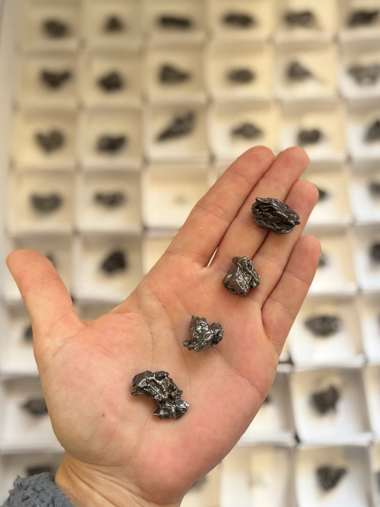 Campo del Cielo Meteorite Specimens, Authentic meteorite specimen (ONLINE ORDER ONLY)