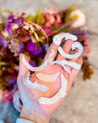 Ram's Horn Selenite, Rare Mineral Specimen (ONLINE ORDER ONLY)