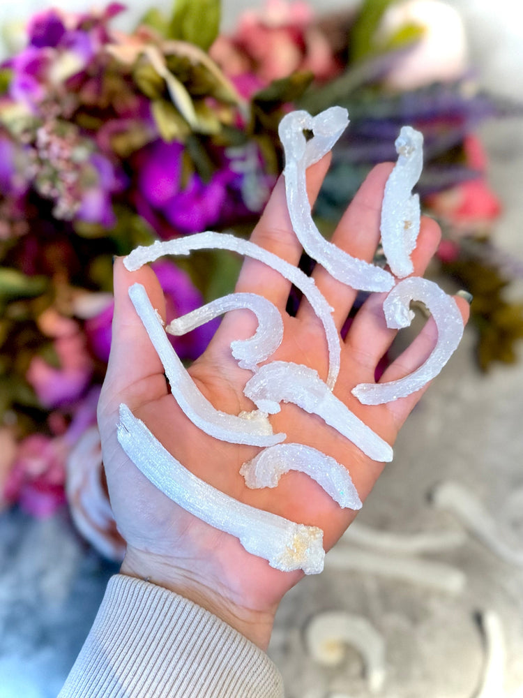 Ram's Horn Selenite, Rare Mineral Specimen (ONLINE ORDER ONLY)