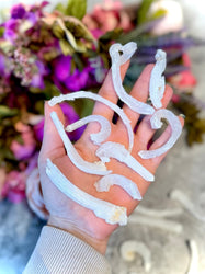 Ram's Horn Selenite, Rare Mineral Specimen (ONLINE ORDER ONLY)