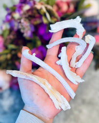 Ram's Horn Selenite, Rare Mineral Specimen (ONLINE ORDER ONLY)