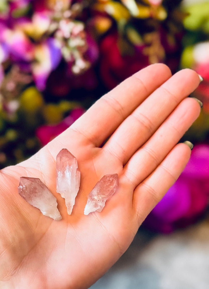 Scepter Quartz From India, New Find! with Pink Hematite (ONLINE ORDER ONLY)