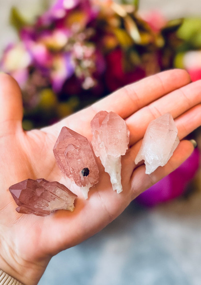 Scepter Quartz From India, New Find! with Pink Hematite (ONLINE ORDER ONLY)