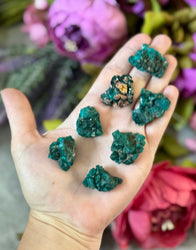 Raw Dioptase Crystal Specimens, Green Dioptase Mineral (ONLINE ORDER ONLY)