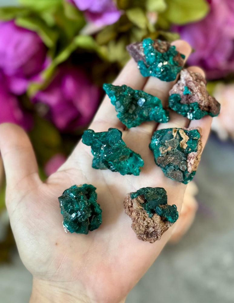 Raw Dioptase Crystal Specimens, Green Dioptase Mineral (ONLINE ORDER ONLY)