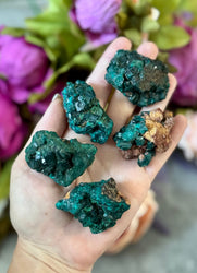 Raw Dioptase Crystal Specimens, Green Dioptase Mineral (ONLINE ORDER ONLY)