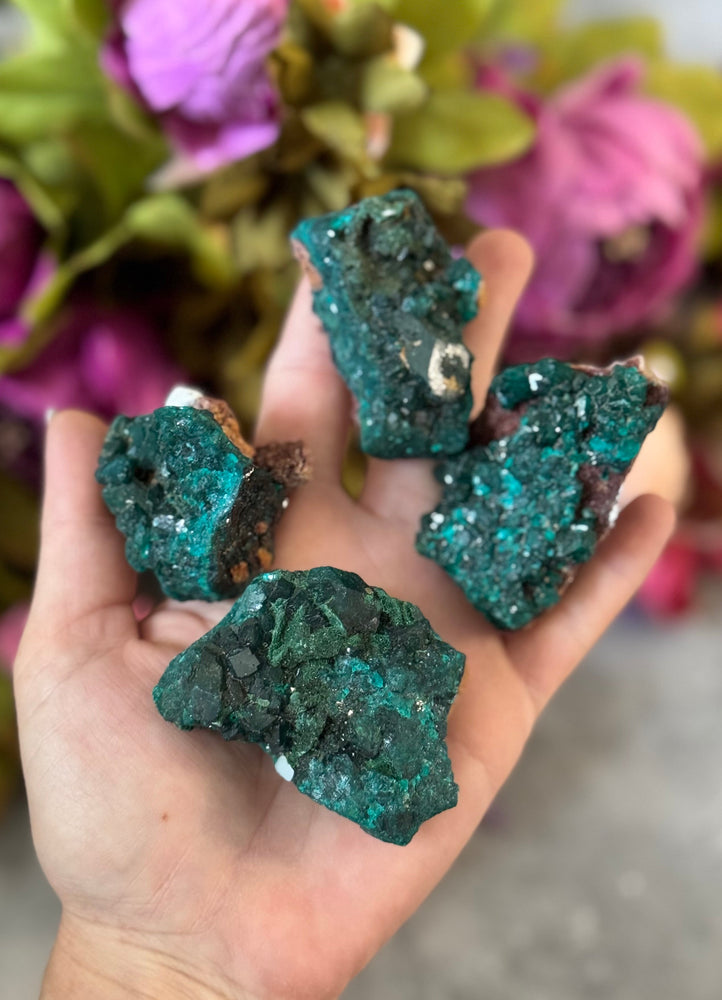 Raw Dioptase Crystal Specimens, Green Dioptase Mineral (ONLINE ORDER ONLY)