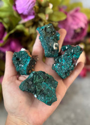 Raw Dioptase Crystal Specimens, Green Dioptase Mineral (ONLINE ORDER ONLY)