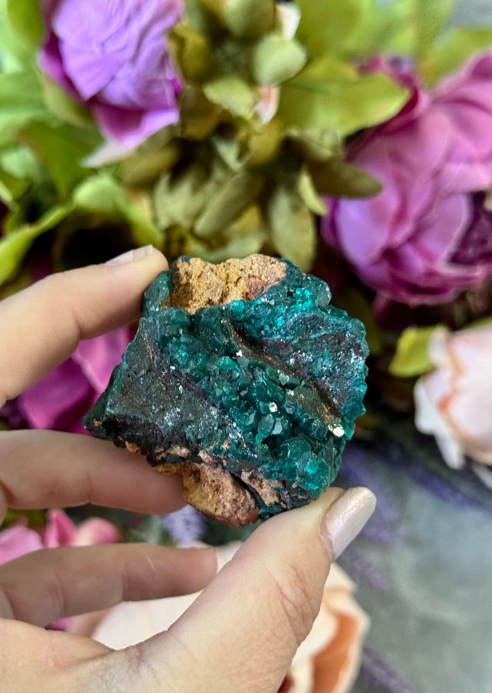 Raw Dioptase Crystal Specimens, Green Dioptase Mineral (ONLINE ORDER ONLY)