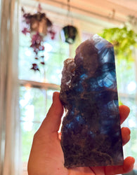Stunning Fluorite Slices, Fluoresces Pink & Purple (ONLINE ORDER ONLY)
