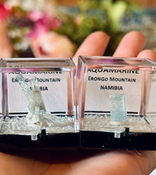 Aquamarine Specimens, Erongo Namibia, Perkie Box (ONLINE ORDER ONLY)