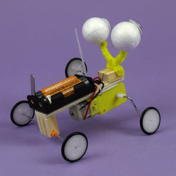 Bug Robot DIY Kit, Educational STEM Toy (ONLINE ORDER ONLY)