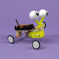 Bug Robot DIY Kit, Educational STEM Toy (ONLINE ORDER ONLY)