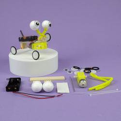 Bug Robot DIY Kit, Educational STEM Toy (ONLINE ORDER ONLY)