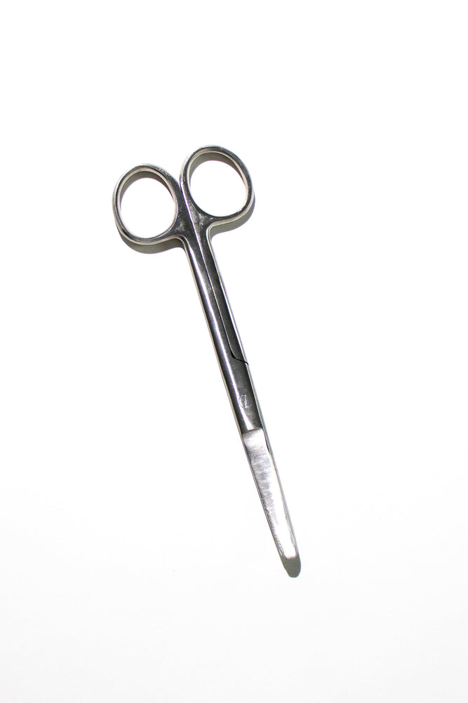 Large Surgical Scissors - 6.5" (ONLINE ORDER ONLY)