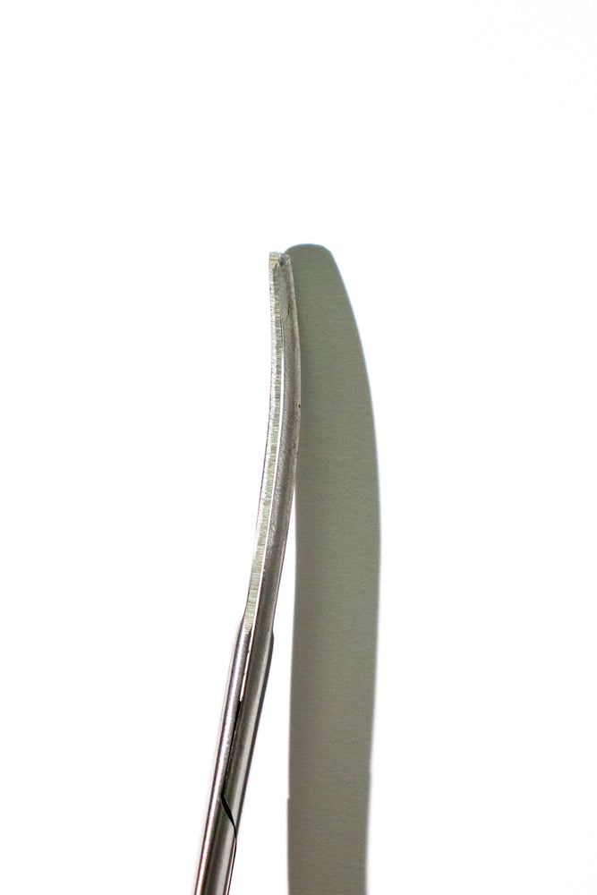 Large Surgical Scissors - 6.5" (ONLINE ORDER ONLY)