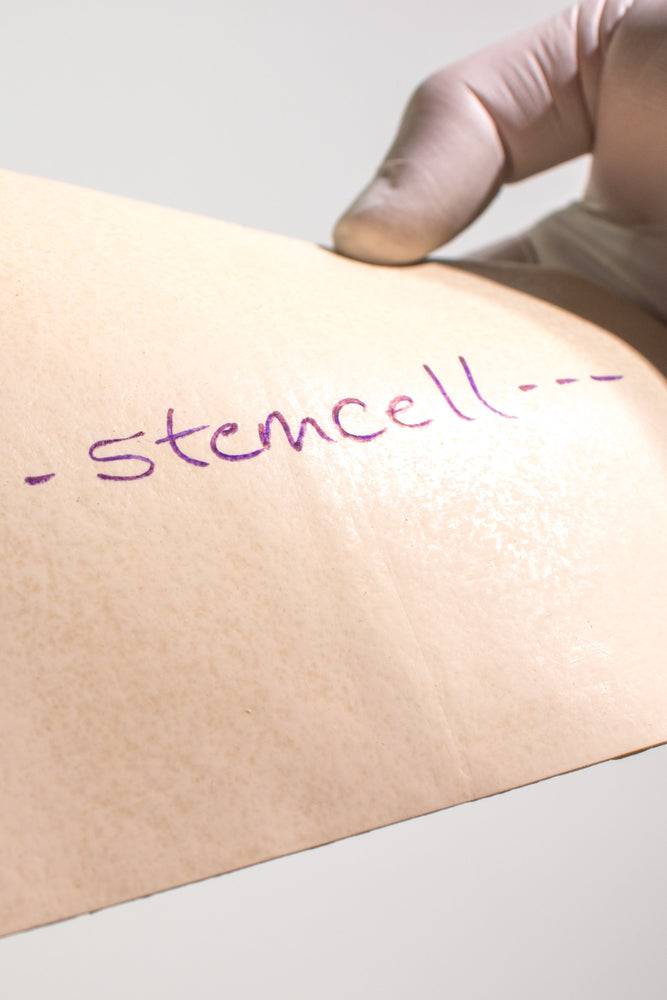 Simulated Human Skin (ONLINE ORDER ONLY)