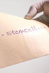 Simulated Human Skin (ONLINE ORDER ONLY)