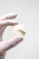 Alligator Osteoderm Bone (Online Order Only)