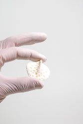 Alligator Osteoderm Bone (Online Order Only)