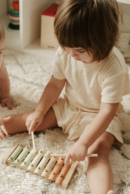 Xylophone (ONLINE ORDER ONLY)