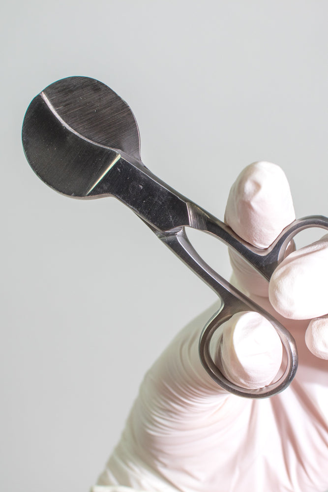 Professional Umbilical Scissors (ONLINE ORDER ONLY)